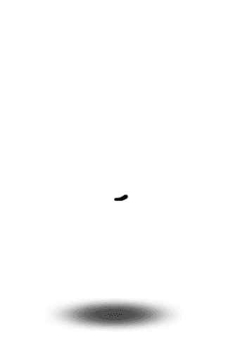 Demo character